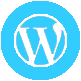 Wordpress development